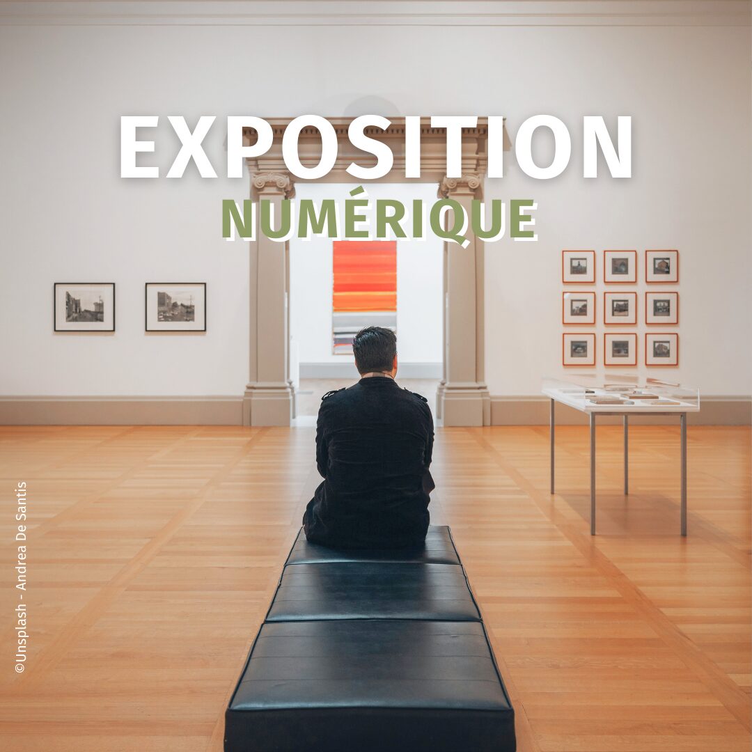 Exposition numérique Semaine de culture scientifique Origines 2025